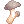 Edible Mushroom icon